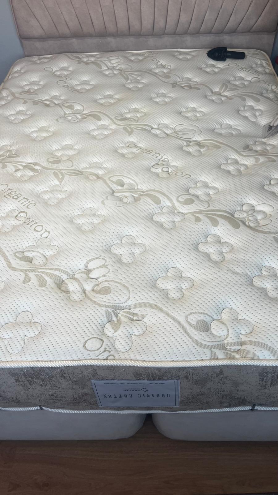 Çınar Buharlı Yıkama